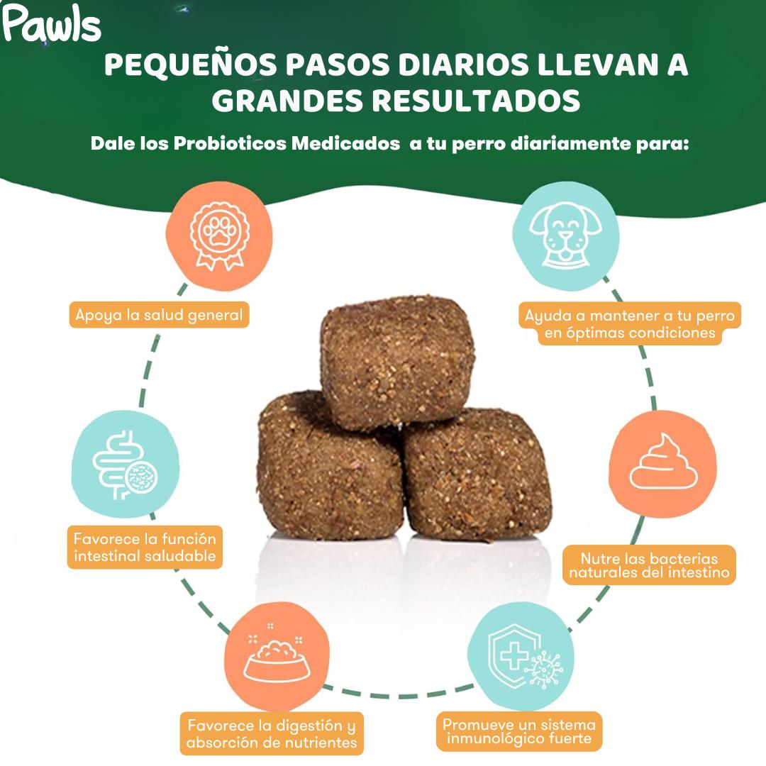 Probióticos Chews