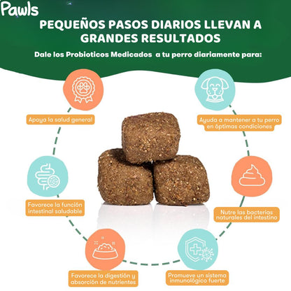 Probióticos Chews