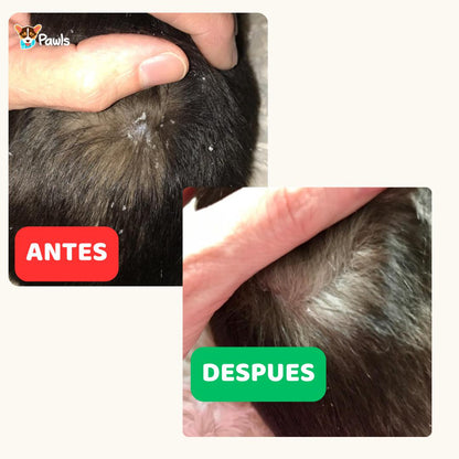 Champú Piel & Pelaje