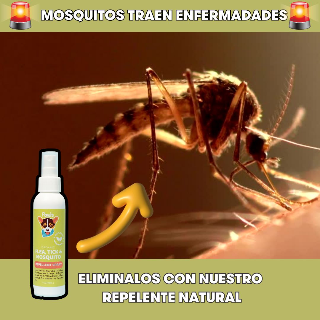 Spray Repelente de Insectos Natural