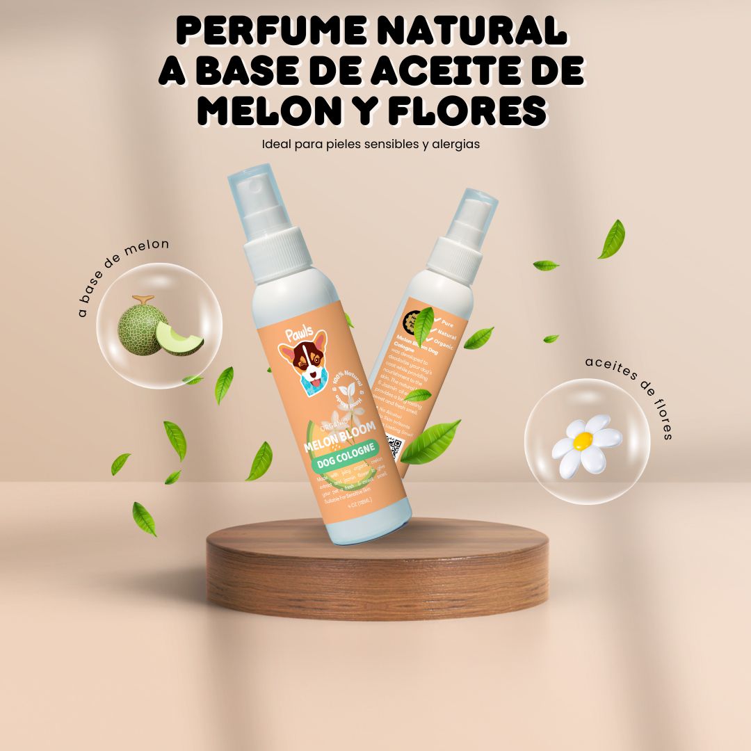 Melon Bloom Perfume
