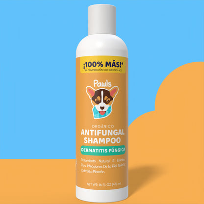Antifungal Shampoo