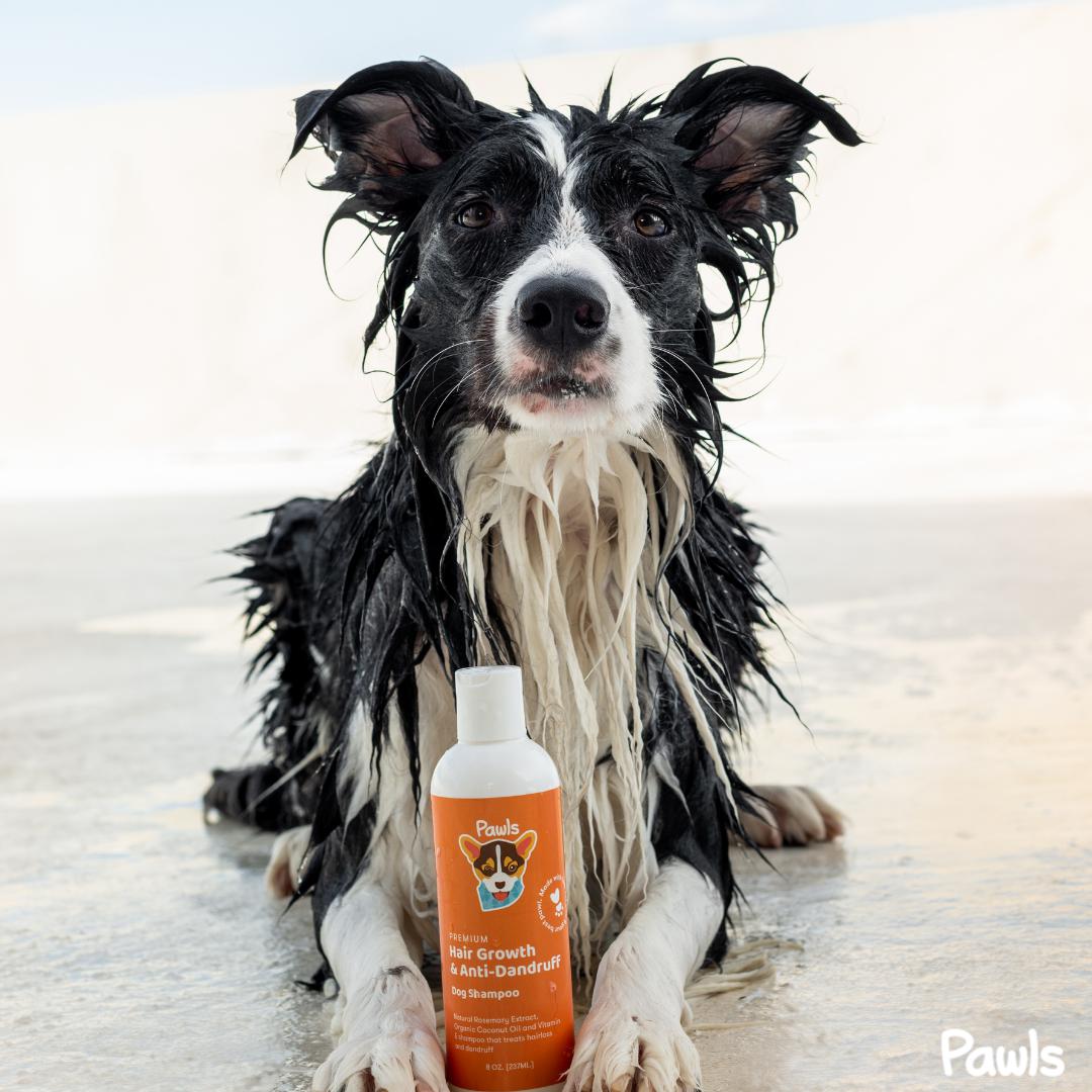 Hair Growth & Anti-Dandruff Shampoo™